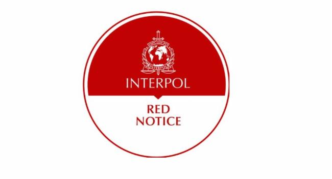2 red-notice suspects among 21 deported from Dubai